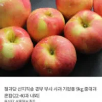 산지직송 경북 부사 사과 가정용 9kg (22-40과)