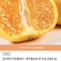 제주줄농원 햇 조생 감귤4.5kg 중대과