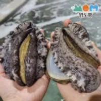 완도 활전복 특대사이즈 8-9미 1kg+물회육수400g증정