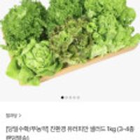 친환경 무농약 유러피안 샐러드 채소 1kg (3-4종 랜덤) T멤버쉽