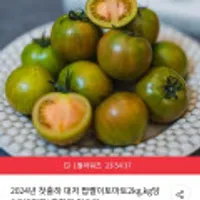 2024년 첫출하 대저 짭짤이토마토 2kg
