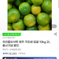 우리들의식탁 제주 극조생 감귤 10kg