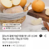 가정용 햇 나주 신고배 3kg (4~6과)