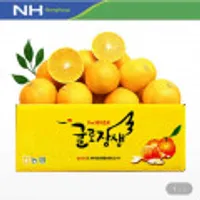귤로장생 황금향 4kg 중소과