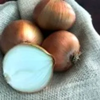 25년 무안 황토밭 햇양파 크고 달큰한 양파 3kg