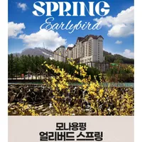 강원 모나 용평 리조트 얼리버드 스프링 패키지