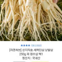 산지직송 세척인삼 난발삼 250g 외 원수삼 택1