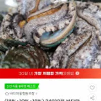 완도 활전복 왕특대 8~9미 1kg