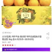제주감귤협동조합 황금향 3kg 중소과