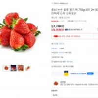 충남 논산 설향 딸기 특 750g내외 24-30과