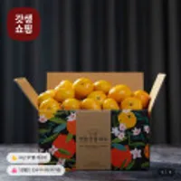 제주 조생 노지감귤 4.5kg 소과