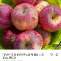 경북 못난이 햇 홍로 사과 10kg 랜덤과