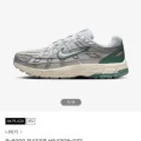 나이키 P-6000 프리미엄 HF4308-072