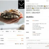 완도활전복크기별모음전 12-14미