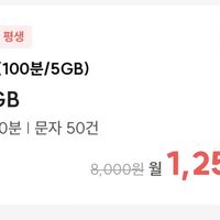 SKT 100분 5GB 평생