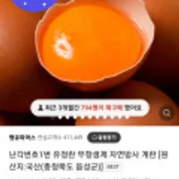 난각번호1번 유정란 무항생제 자연방사 계란