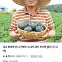 미니 밤호박 미니단호박 국내산 제주 보우짱 2kg / 4~8개