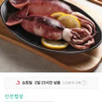 국내산 손질 통 오징어 250g(2미) x 3팩