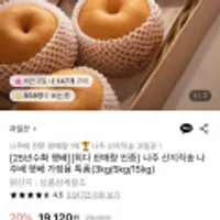 나주 산지직송 나주배 햇배 5kg 8-9과