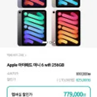 아이패드 미니6 256GB