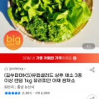 유럽샐러드 상추 채소 3종 이상 랜덤 1kg 유러피안 야채 쌈채소