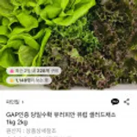 GAP인증 당일수확 유러피안 샐러드 1kg