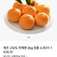 제주 고당도 천혜향 2kg 정품 소과(11-15과) 외