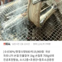 국산 자포니카 손질 민물장어 1kg(손질 후 700g)