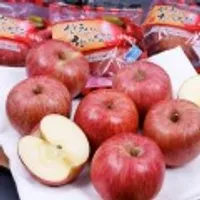 경북 안동 부사 세척사과 정품 5kg 23~28과