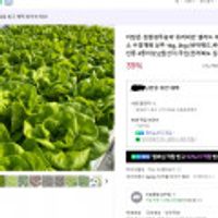 더담은 친환경무농약 유러피안 샐러드(상추 4~6종) 1kg