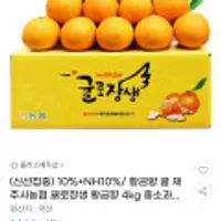 제주 귤로장생 황금향 4kg 로얄소과