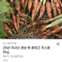 경남 햇 흙당근 주스용 5kg