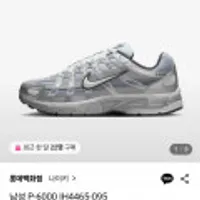 나이키 P-6000 IH4465-095
