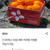 제주 카라향 2kg