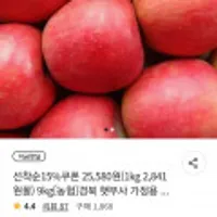 농협 경북 햇부사 청송사과 가정용 9kg