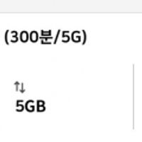 알뜰요금제 SKT망 300분, 100건, 5gb