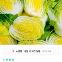 김장용 해남절임배추 20kg