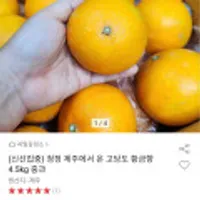 제주 고당도 황금향 4.5kg 중과