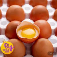 1번 유정란 40구