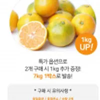 첫수확 산지직송 제주 제철 가정용 노지조생 감귤