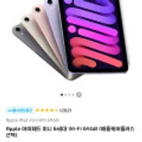 Apple 아이패드 미니 6세대 Wi-Fi 64GB