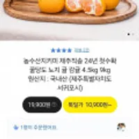 농수산지키미 제주직송 24년 첫수확 꿀당도 노지 귤 감귤 3kg 중대과