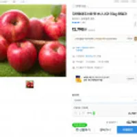 주스용 햇 부사 사과 10kg