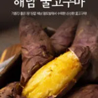 해남 황토밭 24년 햇 꿀고구마 대 5kg