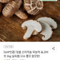 장흥 산지직송 무농약 표고버섯 1kg
