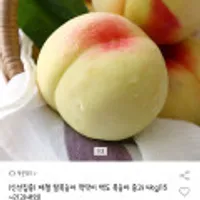 딱딱이 백도 복숭아 중과 4kg(15~21과내외)