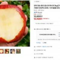 경북 청송 홍로 꿀사과 햇사과 3kg