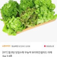 당일수확 무농약 유러피안샐러드 야채 1kg 3-4종
