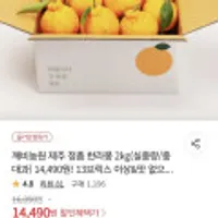 깨비농원 제주 정품 한라봉 2kg 중대과