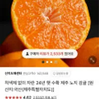 24년 햇 수확 제주 노지감귤 2kg 중대과